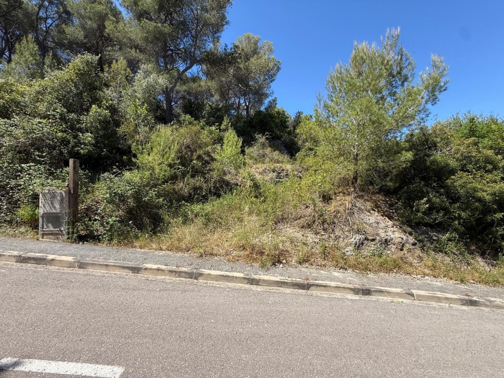Imagen 2 de Haz realidad tu proyecto en un entorno único