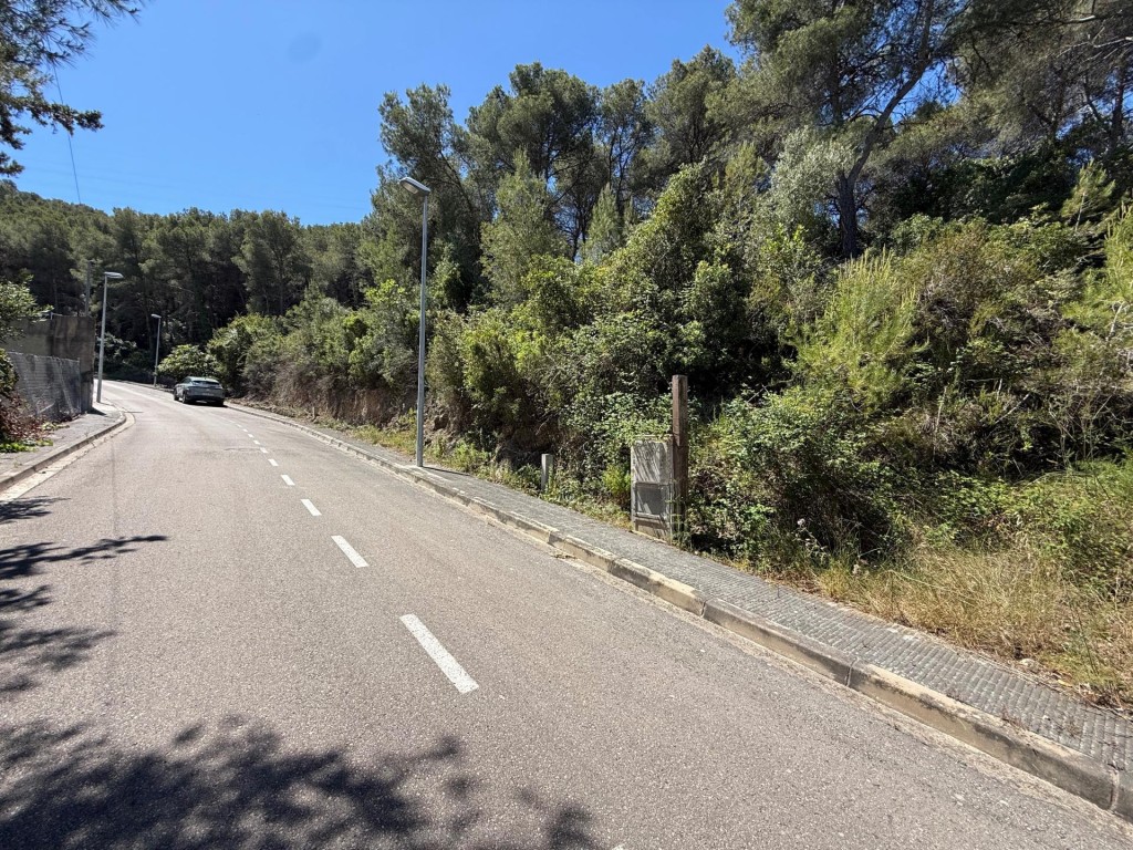 Imagen 2 de Más espacio para crear el hogar que imaginas