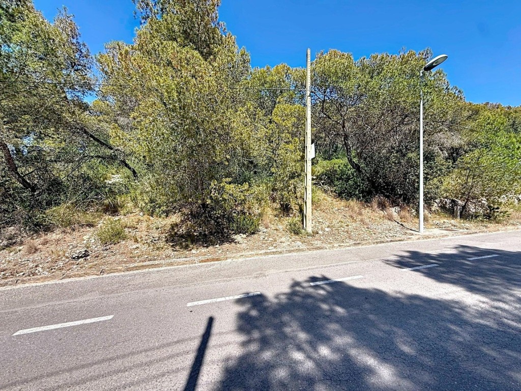 Imagen 3 de Tu proyecto junto al mar empieza aquí