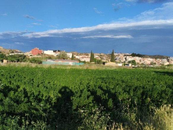Imagen 3 de Excelente terreno de 2138 m2 Para lograr el cultivo de tu sueños . Ubicado en Partido de la Ribera polígono 17 Parcela 401