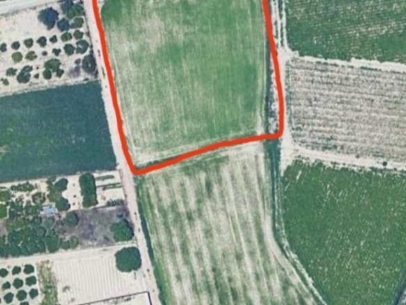 Imagen 1 de Excelente terreno de 2138 m2 Para lograr el cultivo de tu sueños . Ubicado en Partido de la Ribera polígono 17 Parcela 401