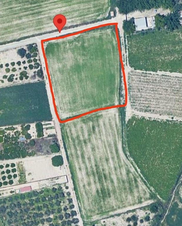 Imagen 1 de Excelente terreno de 2138 m2 Para lograr el cultivo de tu sueños . Ubicado en Partido de la Ribera polígono 17 Parcela 401