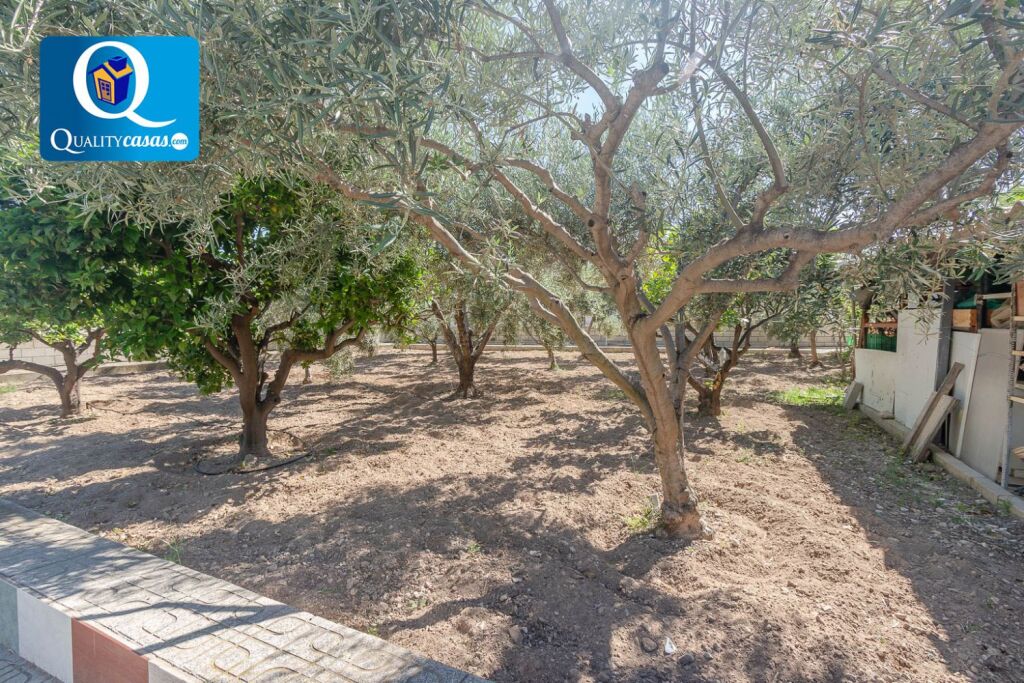 Imagen 4 de Casa-Chalet en Venta en San Vicente Del Raspeig Alicante Ref: 57091R