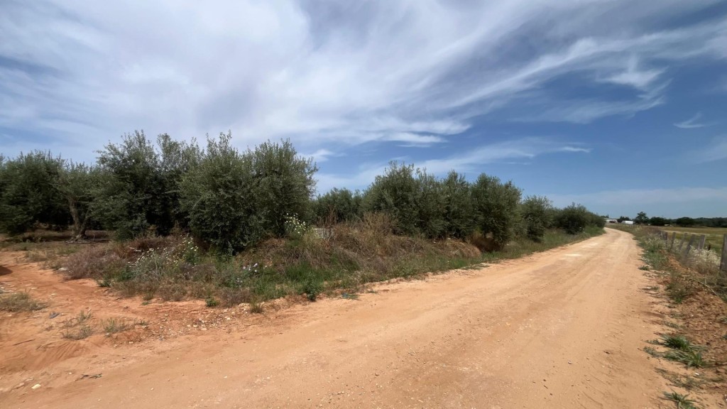 Imagen 1 de Terreno rural en venta en Pilas