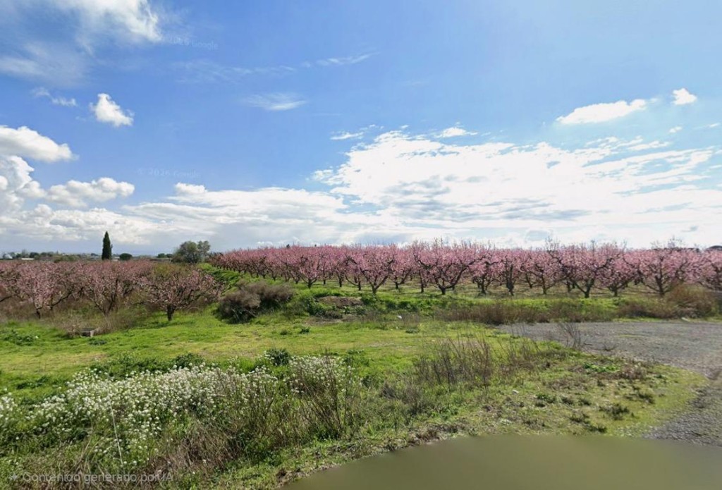 Imagen 3 de Finca en ubicación Privilegiada
