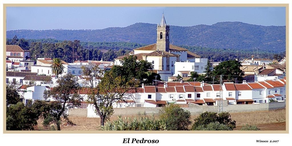 Imagen 1 de Bonita casa de pueblo en El Pedroso!!!
