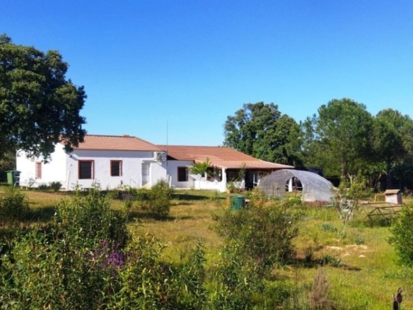 Imagen 2 de Magnífica finca rústica en El Ronquillo!!!