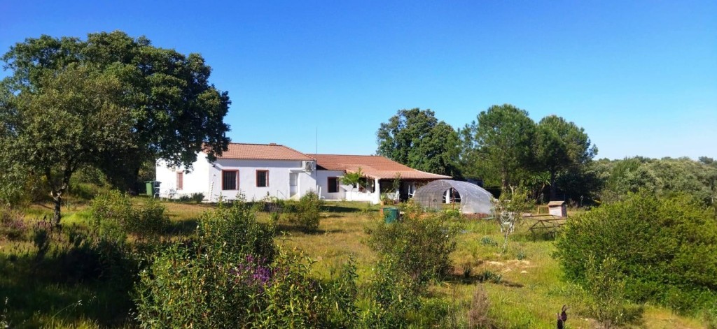Imagen 2 de Magnífica finca rústica en El Ronquillo!!!