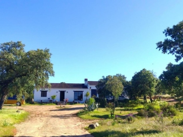 Imagen 1 de Magnífica finca rústica en El Ronquillo!!!