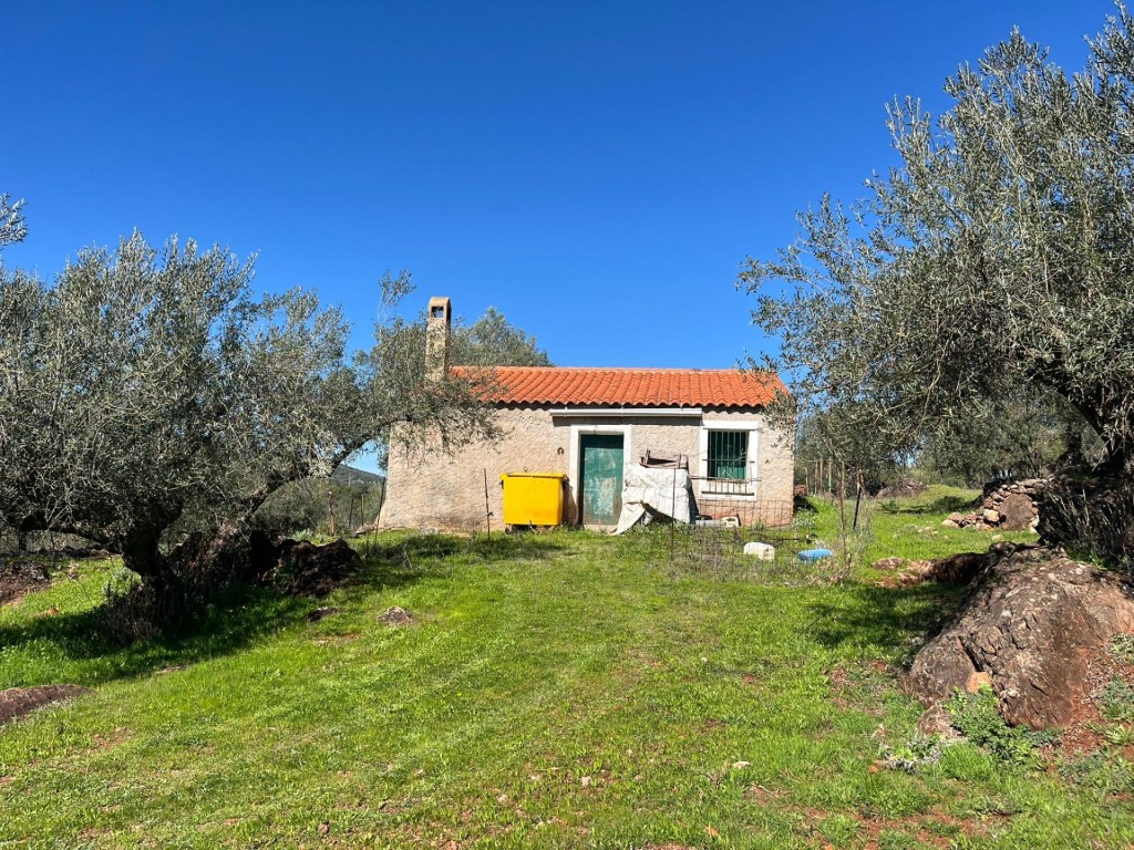 Imagen 2 de Espectacular Finca con olivos ecológicos en Zufre!!!