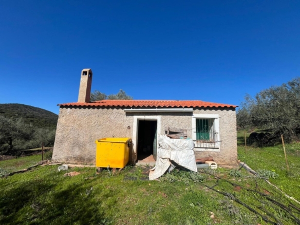 Imagen 3 de Espectacular Finca con olivos ecológicos en Zufre!!!