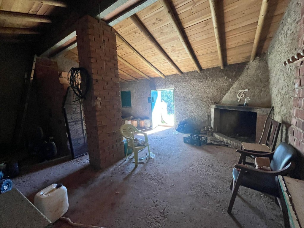 Imagen 4 de Espectacular Finca con olivos ecológicos en Zufre!!!