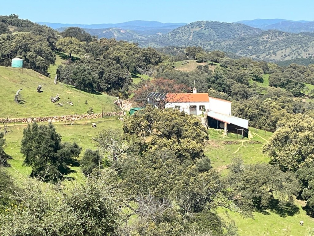 Imagen 1 de Espectacular finca en Zufre