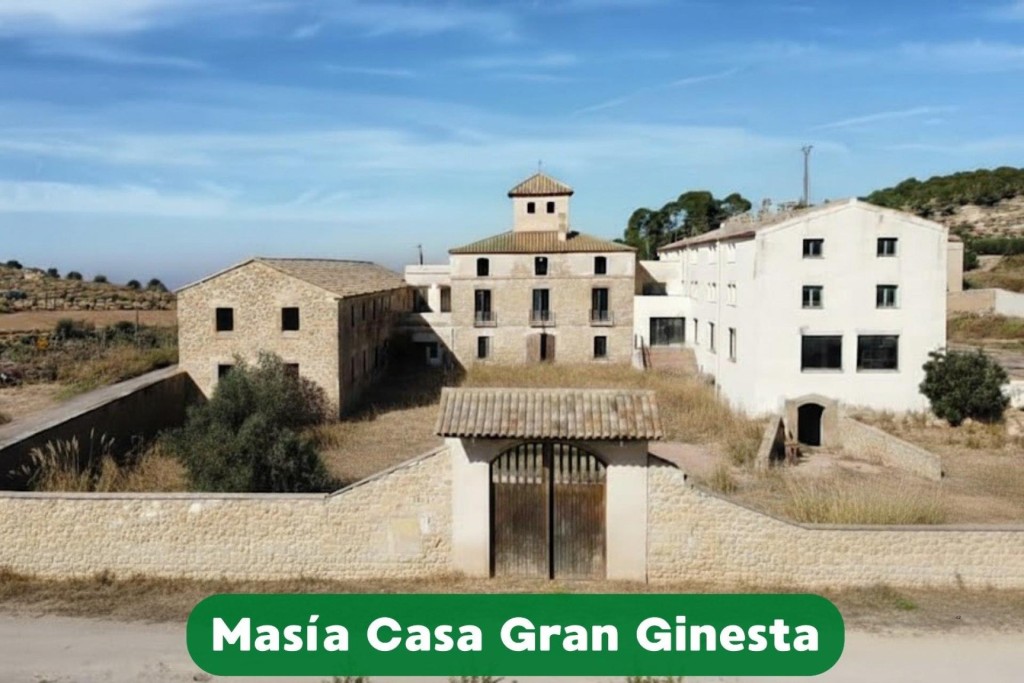Imagen 1 de Masía histórica con gran potencial de inversión
