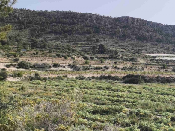 La Alicante