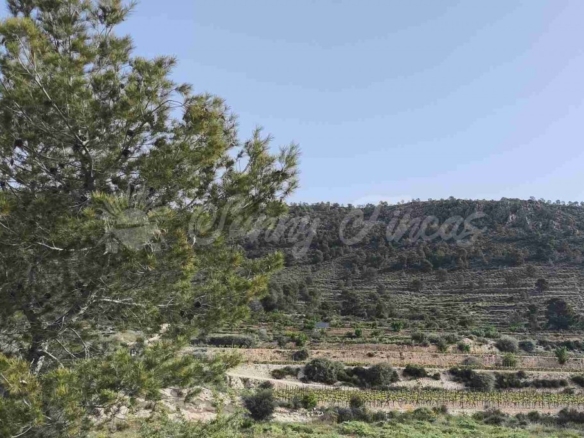 La Alicante