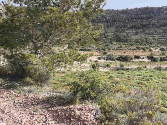 Imagen 1 de Suelo urbanizable en Venta en Romana