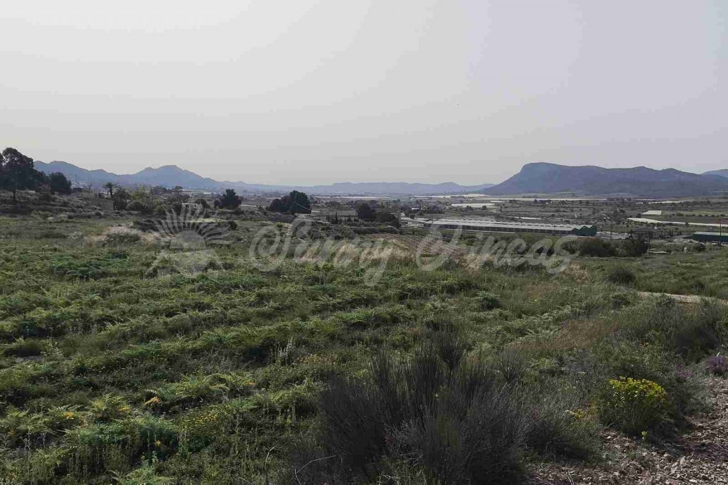 Imagen 2 de Parcela en Venta en Romana