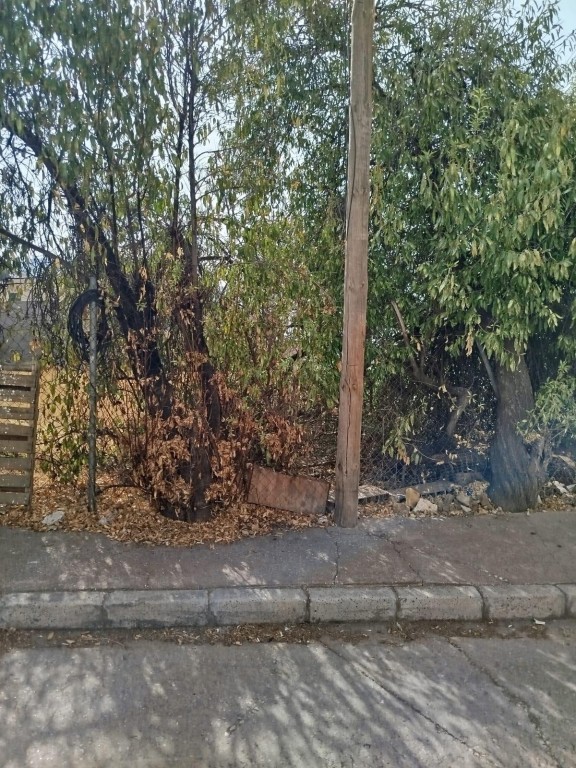 Imagen 3 de Venta de parcela en el Puerto de La Torre