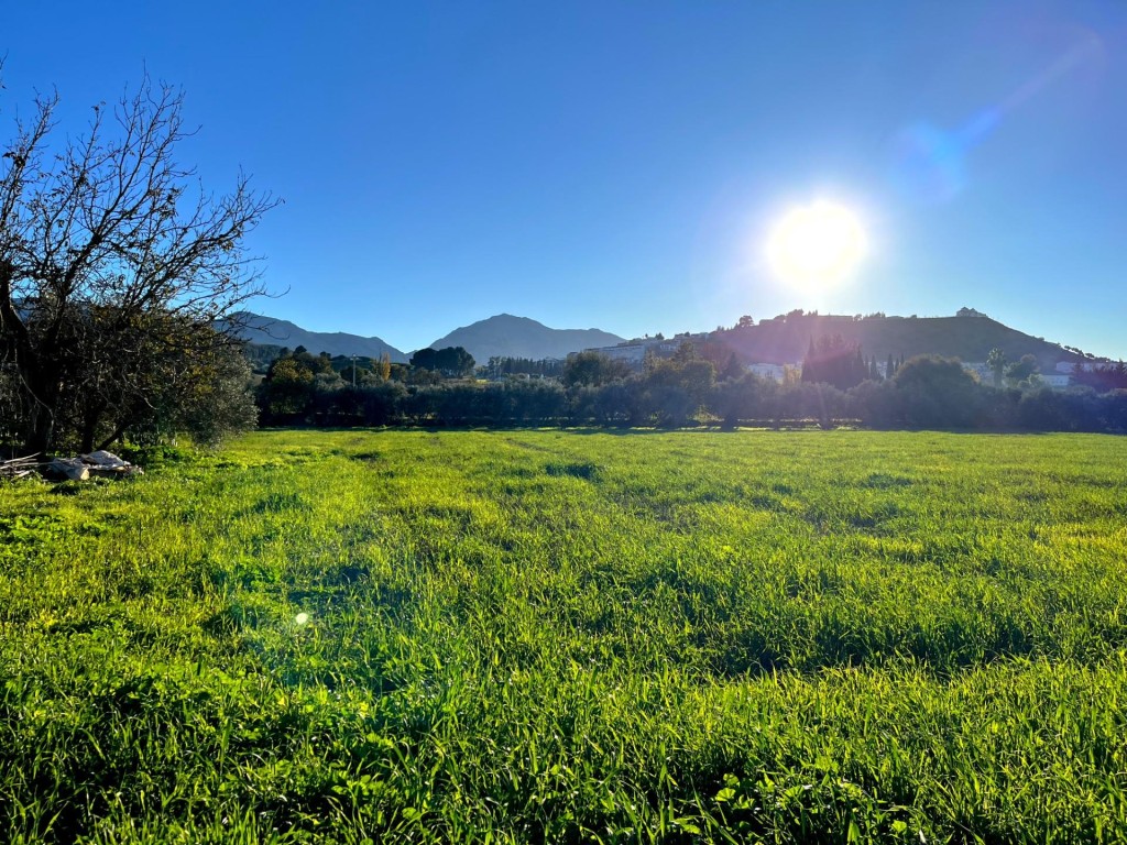 Imagen 2 de Un rincón de tranquilidad a un paso de Antequera