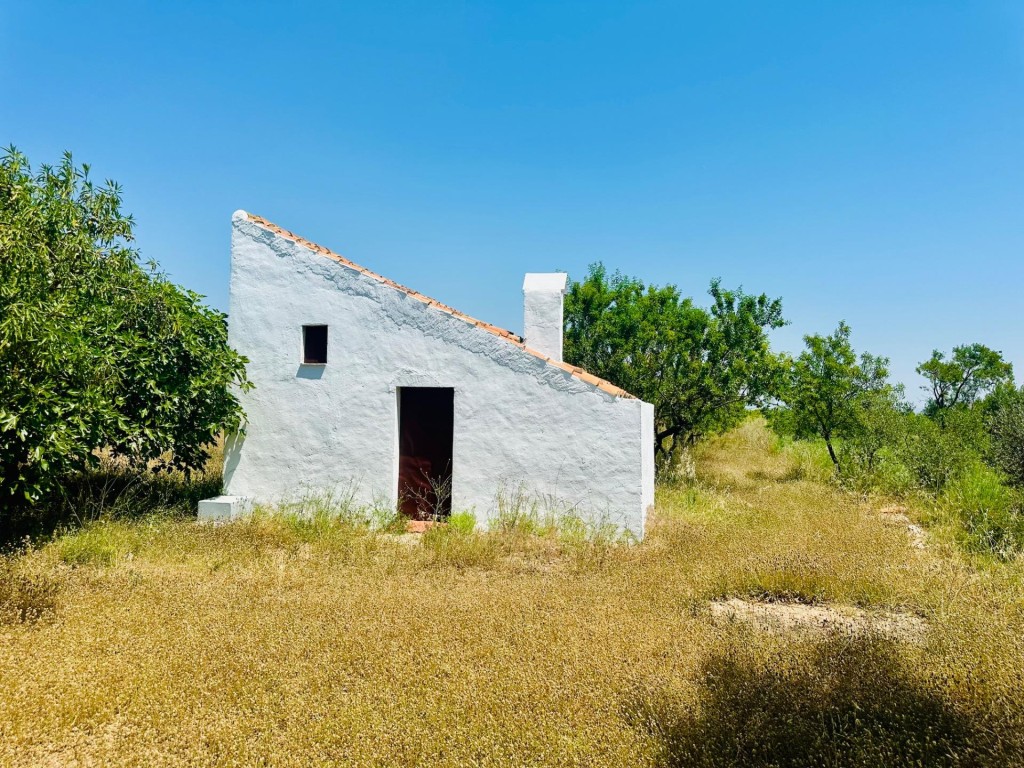 Imagen 2 de Ídilica casa de labor en finca de Almendros
