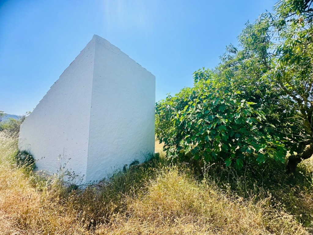 Imagen 3 de Ídilica casa de labor en finca de Almendros