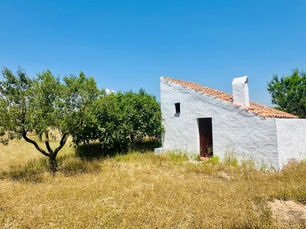 Imagen 4 de Ídilica casa de labor en finca de Almendros