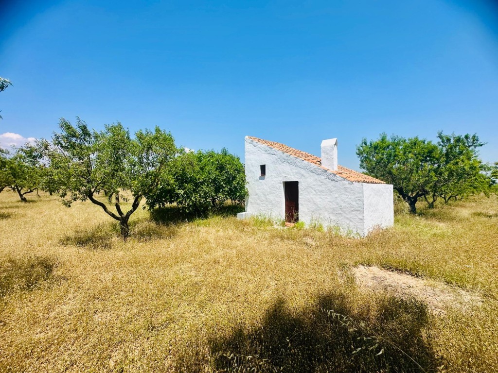 Imagen 1 de Ídilica casa de labor en finca de Almendros