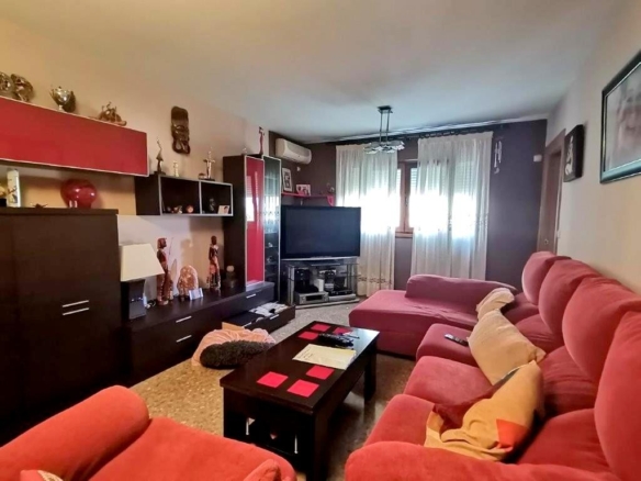 Imagen 1 de GRAN PISO DE 3 HABITACIONES