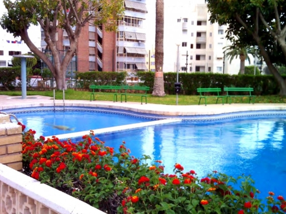 El Alicante