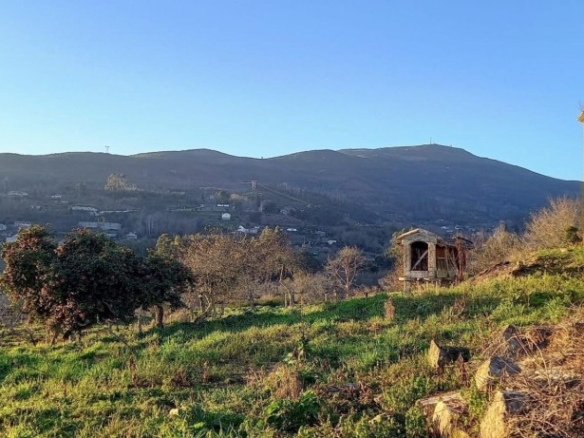 Imagen 2 de SE VENDE PAZO DO BARRO EN SAN CIBRAN DE RIBARTEME - AS NEVES - PONTEVEDRA
