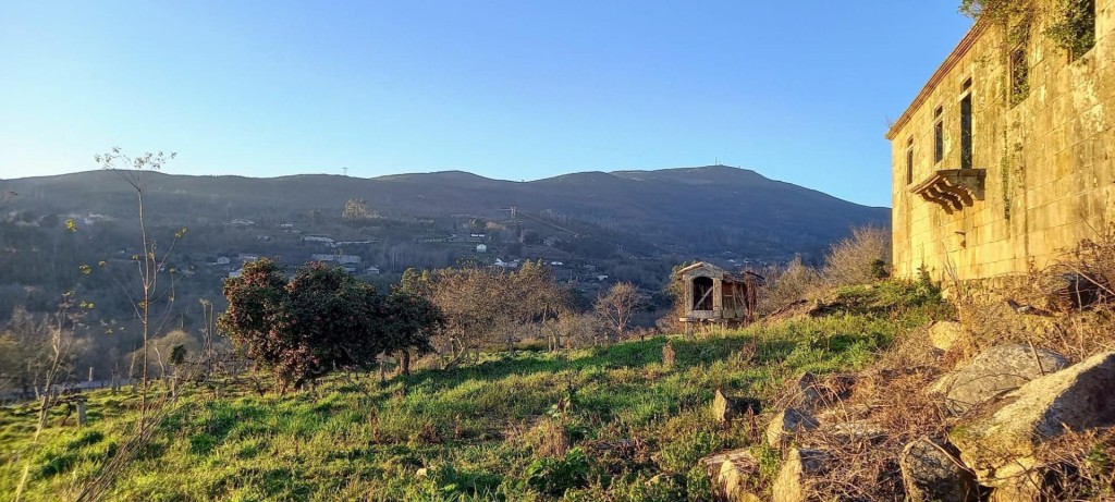 Imagen 2 de SE VENDE PAZO DO BARRO EN SAN CIBRAN DE RIBARTEME - AS NEVES - PONTEVEDRA
