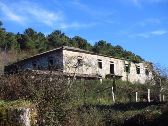 Imagen 1 de SE VENDE PAZO DO BARRO EN SAN CIBRAN DE RIBARTEME - AS NEVES - PONTEVEDRA