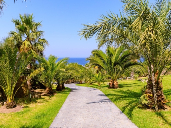 Imagen 4 de El Secreto Mejor Guardado del Atlántico: Un Oasis Privado de Lujo y Naturaleza en Oia