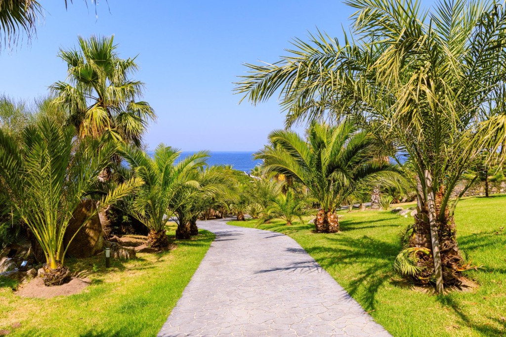 Imagen 4 de El Secreto Mejor Guardado del Atlántico: Un Oasis Privado de Lujo y Naturaleza en Oia