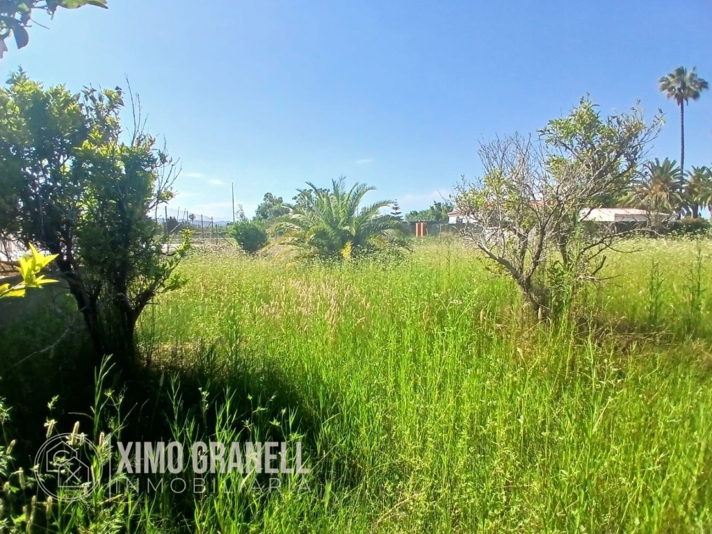 Imagen 4 de Solar residencial en Venta en Nules Castellón