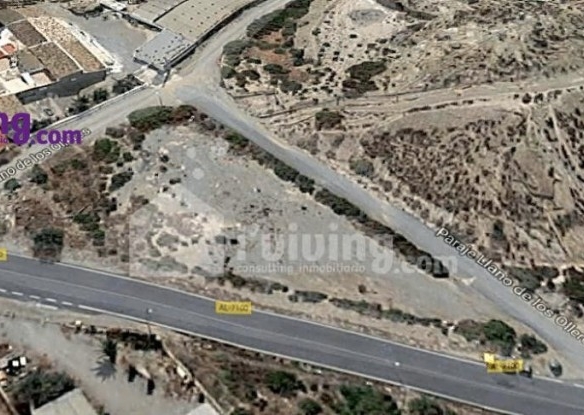 Imagen 2 de Solar residencial en Venta en Albox Almería