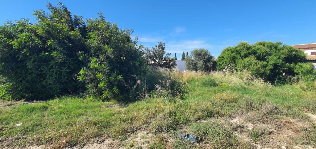 Imagen 4 de Solar residencial en Venta en Cantoria Almería