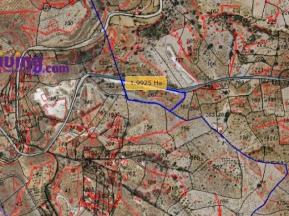 Imagen 2 de Parcela en Venta en Alcudia De Monteagud Almería