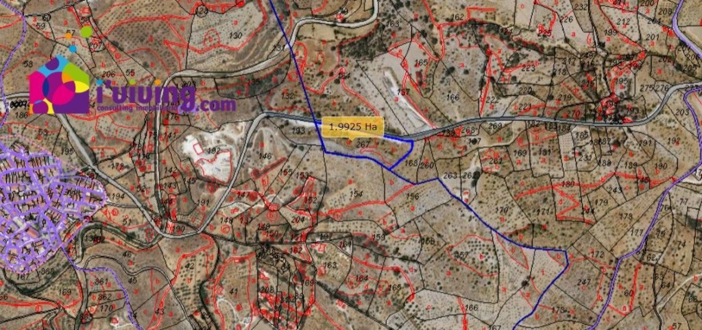 Imagen 2 de Parcela en Venta en Alcudia De Monteagud Almería