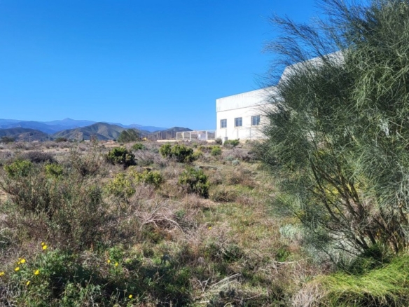 Imagen 3 de Parcela en Venta en Albox Almería