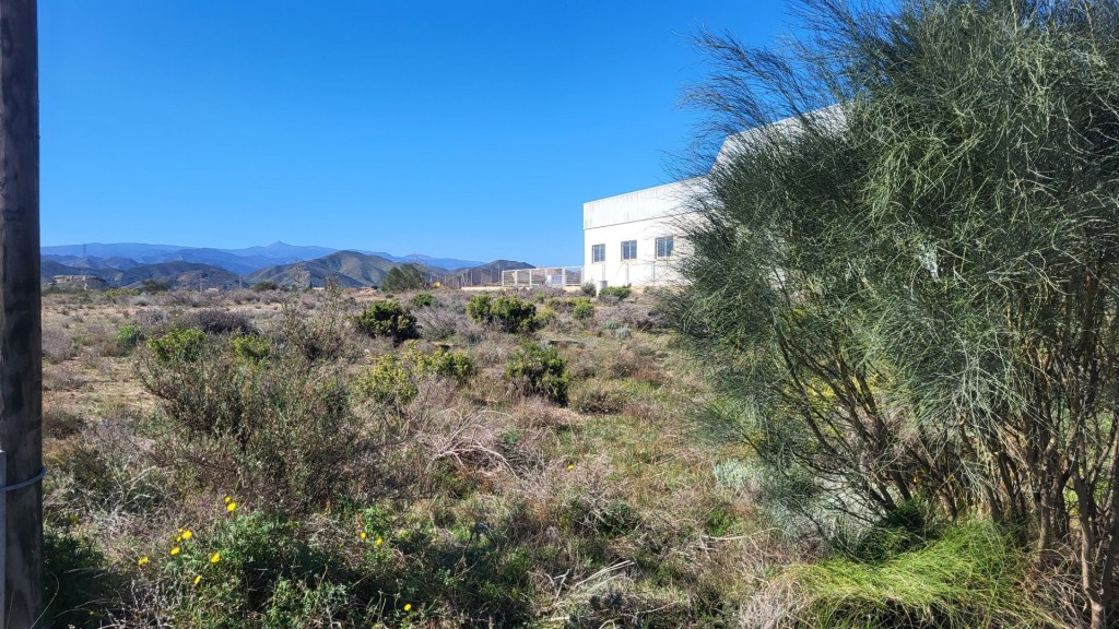 Imagen 3 de Parcela en Venta en Albox Almería