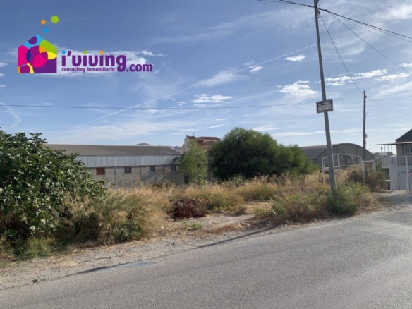 Imagen 3 de Solar residencial en Venta en Albox Almería