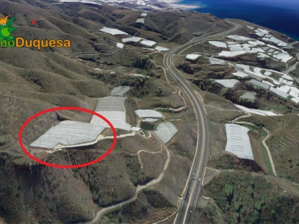Imagen 3 de HAZNOS TU OFERTA DE PRECIO!! INVERNADERO en venta en Melicena