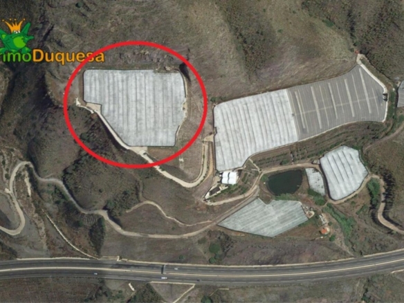 Imagen 4 de HAZNOS TU OFERTA DE PRECIO!! INVERNADERO en venta en Melicena