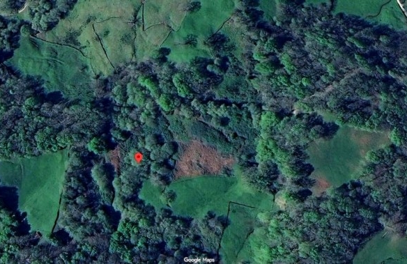 Imagen 2 de FINCA RÚSTICA CON CABAÑA EN LLAOS (RUENTE)