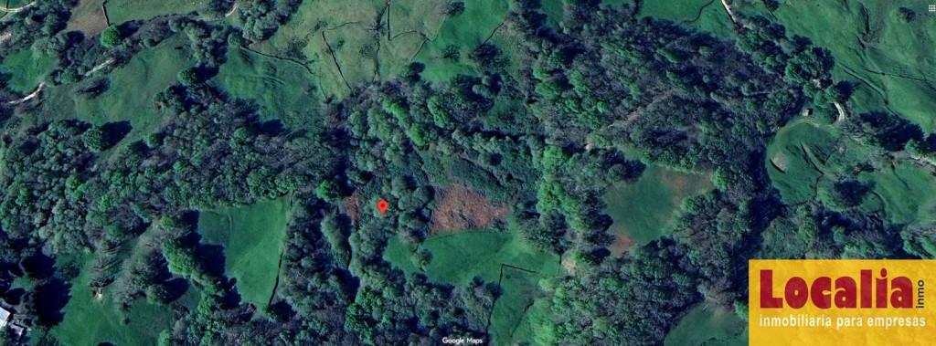 Imagen 2 de FINCA RÚSTICA CON CABAÑA EN LLAOS (RUENTE)