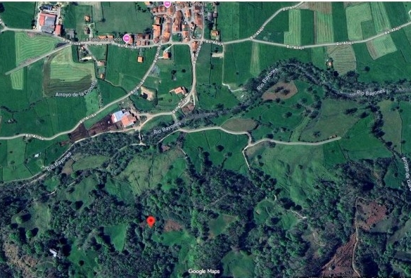 Imagen 4 de FINCA RÚSTICA CON CABAÑA EN LLAOS (RUENTE)