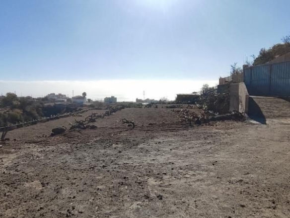 Imagen 2 de Terreno rústico en Granadilla con acceso rodado