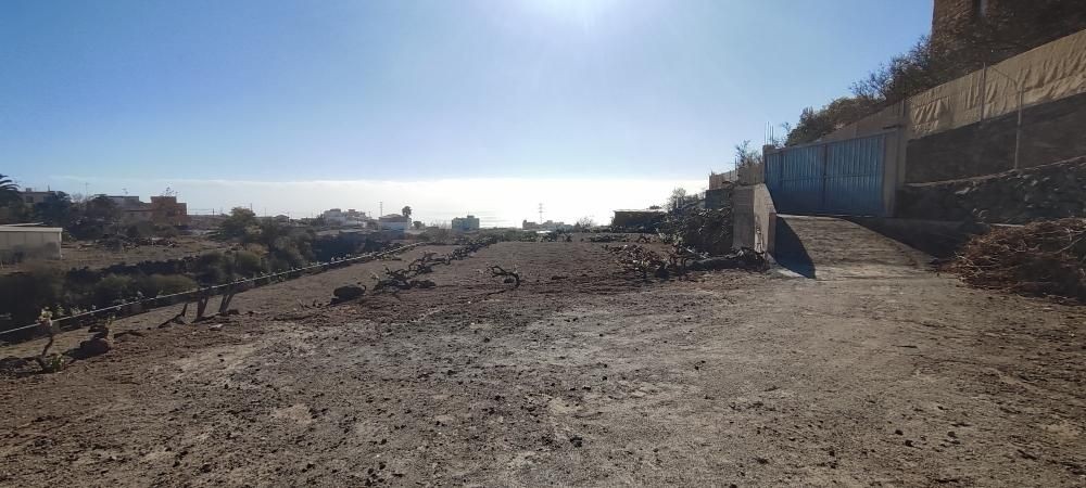 Imagen 2 de Terreno rústico en Granadilla con acceso rodado